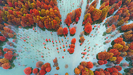 18歲以下禁止觀看的軟件：未成年人保護：網(wǎng)絡(luò)清朗行動揭秘-2