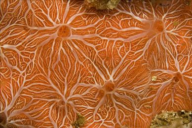 99re這里只有：極致服務，99re領(lǐng)跑未來-2