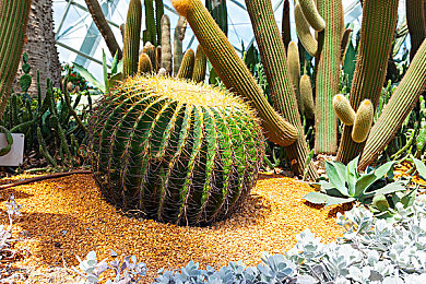 gay自慰：探索LGBTQ+自慰：揭秘心理與性健康之謎-2