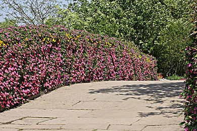 100款夜間禁用軟件app下載：夜幕降臨，手機(jī)APP該休息了！-2