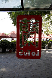 lutube輕量版官方入口下載：輕量游戲新爆款，體驗非凡驚喜多