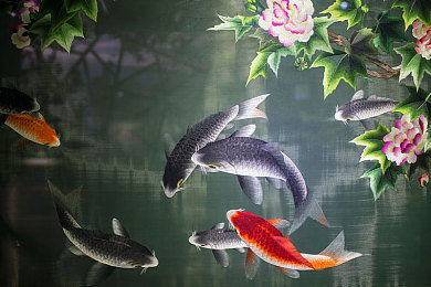 av傳媒：短視頻黑馬崛起，av傳媒未來可期-4