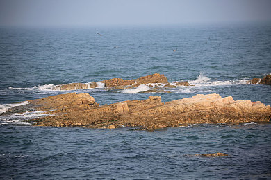 WC凸①撒尿間諜女廁HD：神秘女廁間諜游戲，揭秘驚人劇情-3