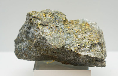 Gay男男網(wǎng)站18：游戲新平臺：社交樂趣全球暢享-2