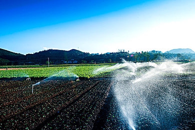 100款流浪軟件：揭秘：百款低調(diào)神器，數(shù)字生活必備利器-2