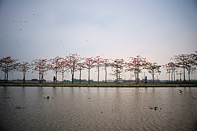 69 樂園 成功日志：創(chuàng)新樂園崛起，娛樂新地標引關(guān)注-5