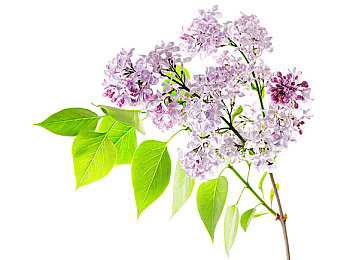 K丅v小伙和服務(wù)生囗交：游戲內(nèi)驚現(xiàn)囗交儀式，玩家熱議道德邊界-2