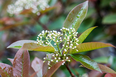 Chinese推特GAYXXX:推特直言哥:激辯風云引關注-3