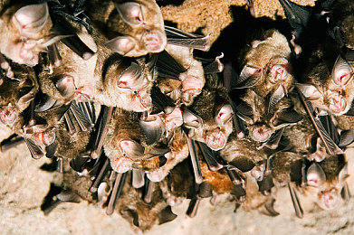 Jαpαn白嫩豐滿(mǎn)老師：日籍女神教師，魅力征服學(xué)子心-2