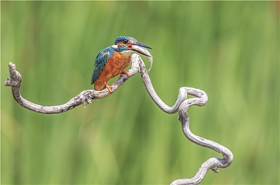 mr.好色：潮流達人崛起，生活態(tài)度引領潮流-3