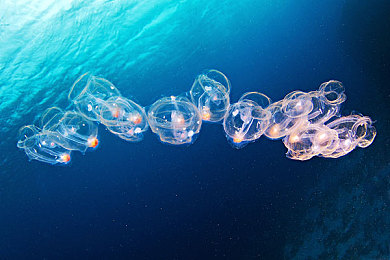 free性滿足hd性bbw:揭秘:互聯(lián)網(wǎng)時代性滿足新趨勢-2