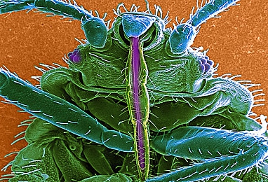 gay自慰：探索LGBTQ+自慰：揭秘心理與性健康之謎-4