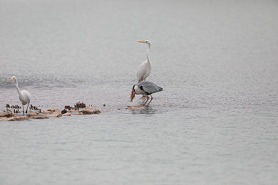 100款夜間排行bpp：夜生活新潮流，盤點100款熱榜娛樂神器-1