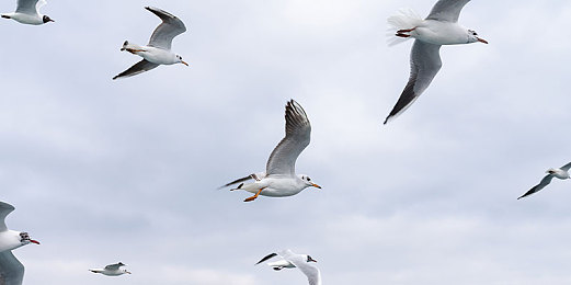 juliaann熟婦大戰(zhàn)黑鬼：奇幻熟婦大戰(zhàn)黑鬼，即將來(lái)襲