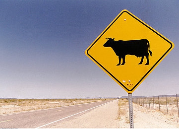 chinese偷拍農(nóng)民工XXX:工地偷拍風(fēng)波,農(nóng)民工權(quán)益引關(guān)注-1