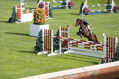 唐三插曲比比東不亦樂乎nba,電競(jìng)選手巧用《斗羅大陸》梗，比賽趣味十足-4