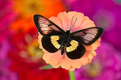 a√天堂資源福利www：福利大放送，體驗升級！-2