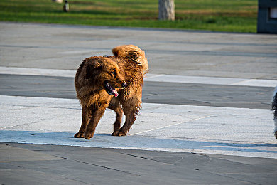 cg51每日大爆料：神秘古世界，冒險(xiǎn)新篇章-2