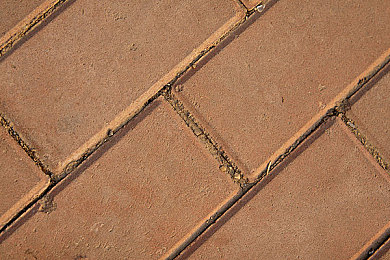 唐三插曲比比東nba免費(fèi)漫畫(huà),籃球女神跨界《唐三》，漫畫(huà)免費(fèi)吸粉無(wú)數(shù)