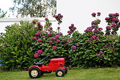 3D美女被怪物暴躁高潮：沉浸式奇幻冒險(xiǎn)，情感互動(dòng)新體驗(yàn)-5