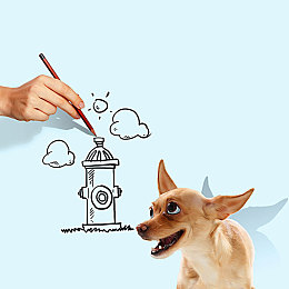 404黃色軟件:網(wǎng)絡(luò)毒瘤揭秘:揭秘“404”色情軟件黑幕-5