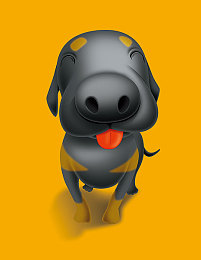 100%vendos：品質(zhì)卓越，服務(wù)至上，企業(yè)崛起-1