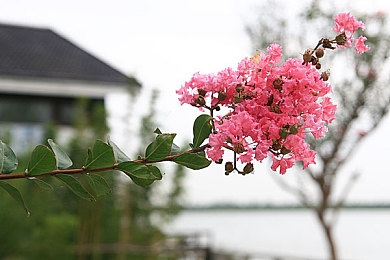 3d實(shí)境模擬器：前沿科技：3D模擬器革新體驗(yàn)