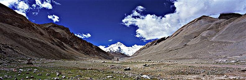 3.0.3免費(fèi)OPPO版破解大全：手機(jī)破解秘籍，OPPO性能大提升-2