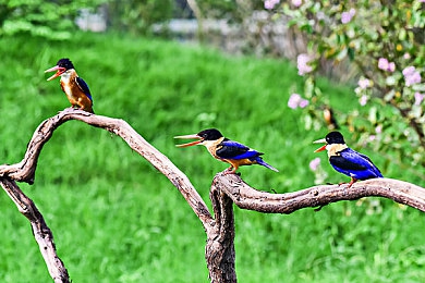 51cgfun：創(chuàng)意平臺新風(fēng)向，51cgfun領(lǐng)航未來-2