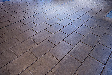 Asian多毛美鮑欣賞:海洋藝術(shù)品:探尋神秘美鮑之美-4