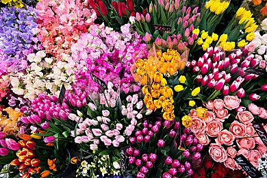 blacked黑人嬌小尤物：黑模新秀，時尚界新寵