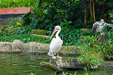 XXX污：奇幻冒險(xiǎn)來(lái)襲，污力游戲引期待-4