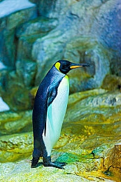 91片女主顏值排行榜：影視女神顏值榜，誰才是顏值與演技雙全？-2