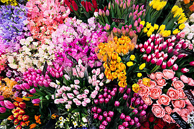 155.7fun：娛樂(lè)盛宴，155.7fun引領(lǐng)潮流-4