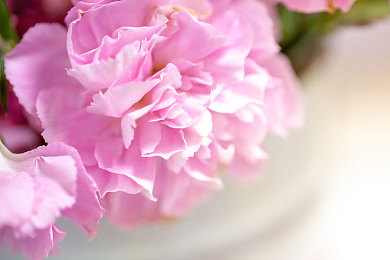 404黃臺(tái):揭秘“404黃臺(tái)”:網(wǎng)絡(luò)安全新銳崛起-2