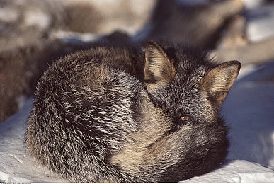 99熱.com：生活服務(wù)新升級，99熱體驗升級！-5